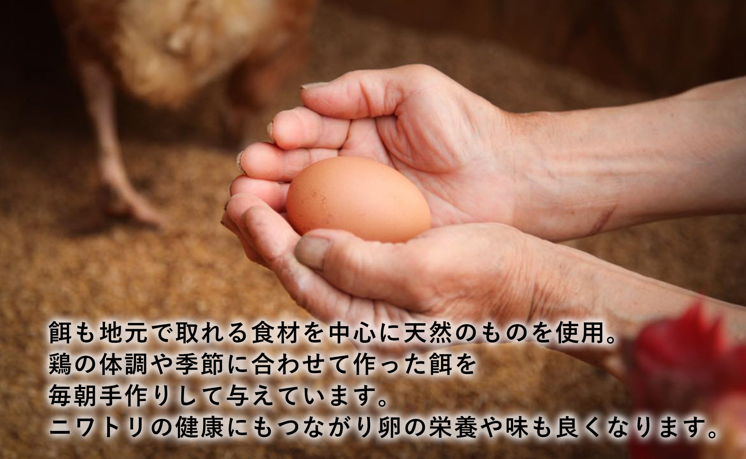 写真はイメージです