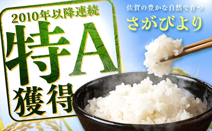 さがびより 4kg（2kg×2）|佐賀県産 令和7年度産 米 おこめ お米 白米 こめ ライス rice kome ごはん