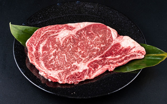 牛肉 セット 国産 熊本県産 食べ比べ あか牛 赤牛 冷凍 お土産 豪華 贅沢 ご褒美 お祝い 人気 おもてなし 晩ご飯 