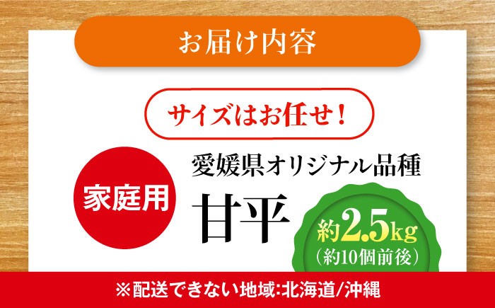 柑橘 みかん 甘平 かんぺい カンペイ オレンジ フルーツ ミカン 果物  愛媛みかん ザート おやつ ワケあり