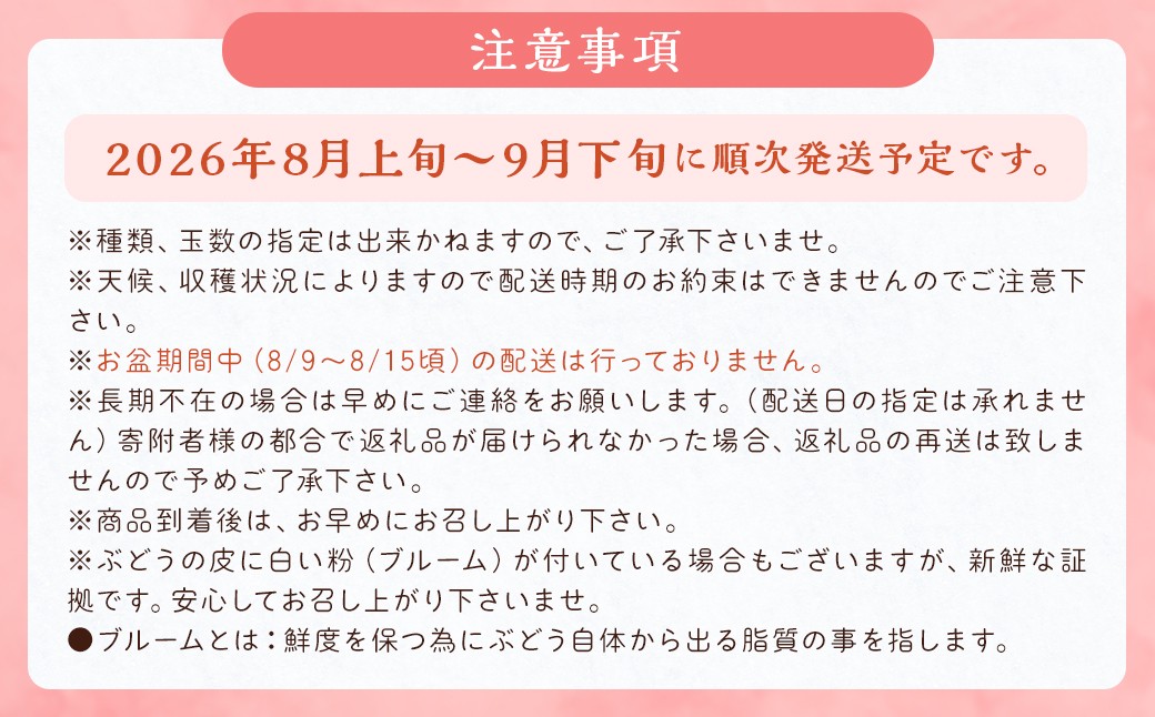 数量限定 よらん野 特選梨とぶどうセット(品種おまかせ)