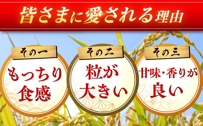 さがびより 4kg（2kg×2）|佐賀県産 令和7年度産 米 おこめ お米 白米 こめ ライス rice kome ごはん