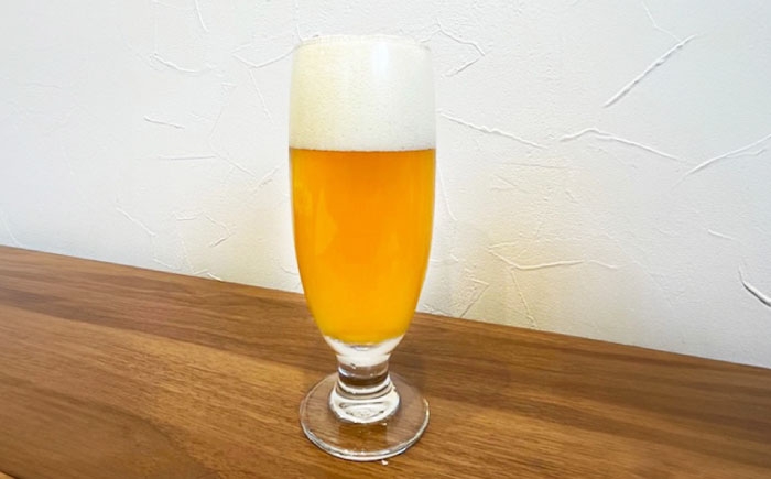 クラフトビール ビールエール 地ビール 瓶ビール セット お酒 酒 saki