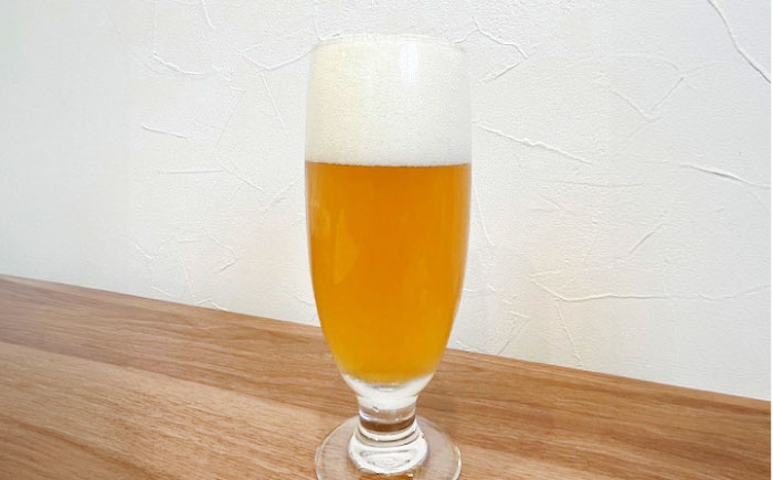 クラフトビール ビールエール 地ビール 瓶ビール セット お酒 酒 saki