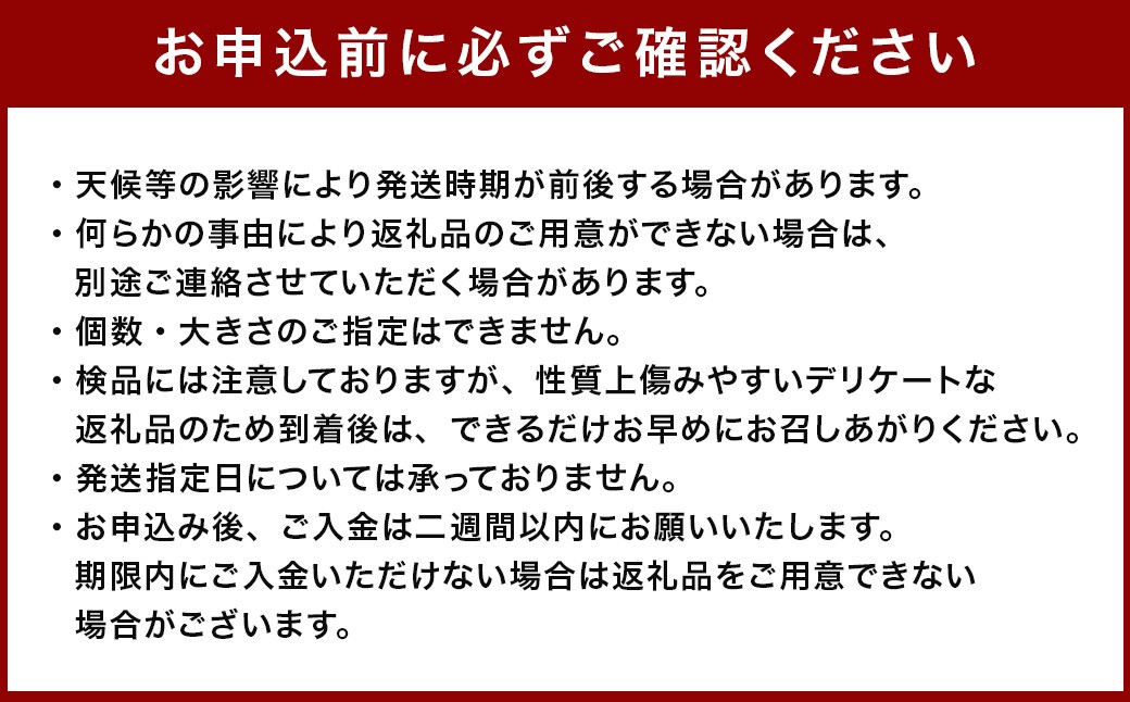 訳あり さつまいも 約5kg