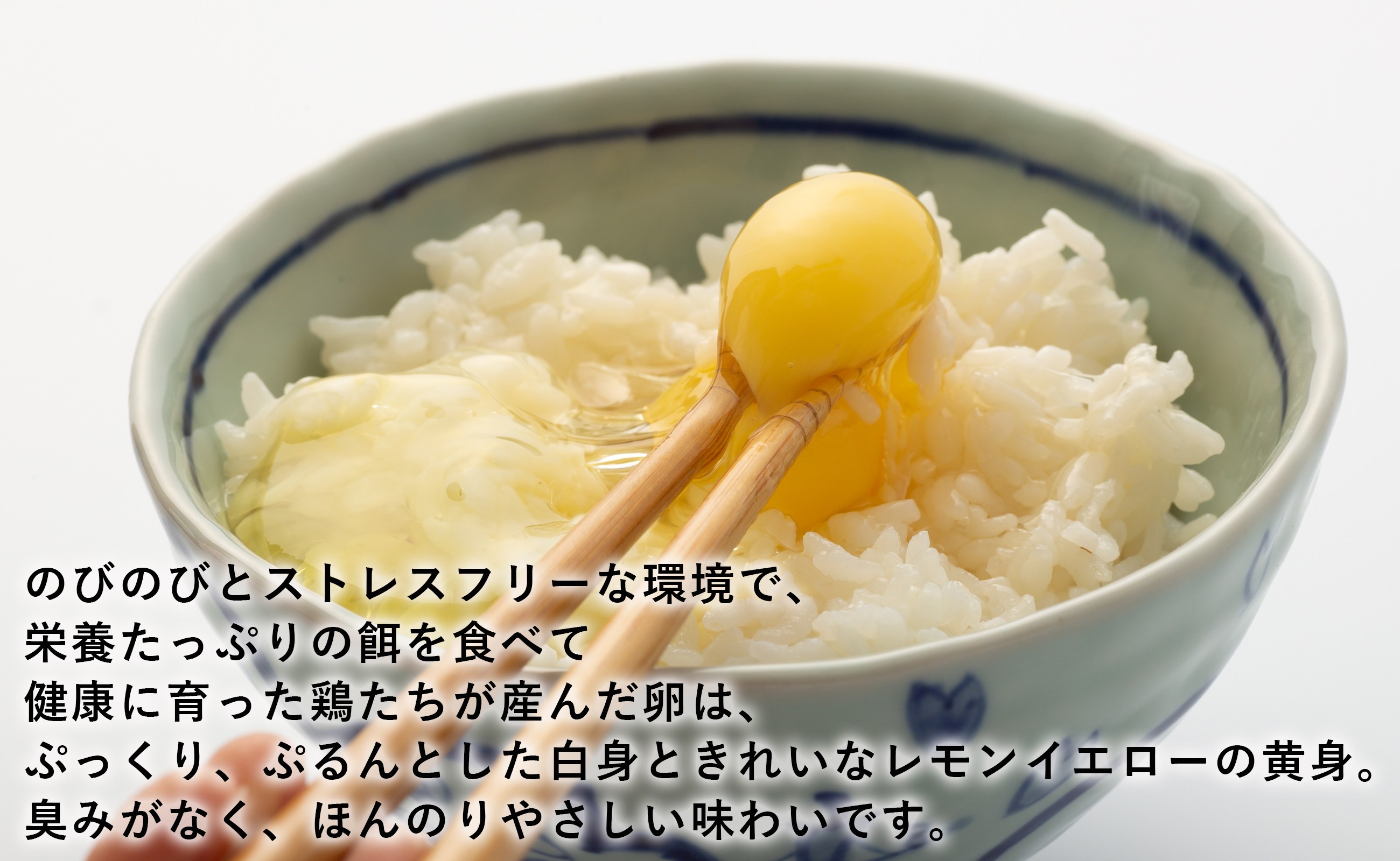 写真はイメージです