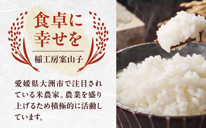 お米 ヒノヒカリ 3kg（3kg×1袋）米・食味鑑定士×お米ソムリエ×白米ソムリエ