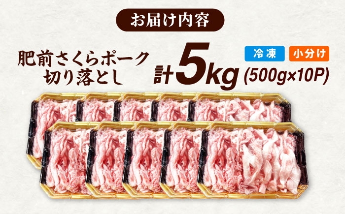 肥前さくらポーク 切り落とし 500g × 10パック 計 5kg | 豚肉 肥前さくらポーク 切り落とし 国産 小分け 大容量