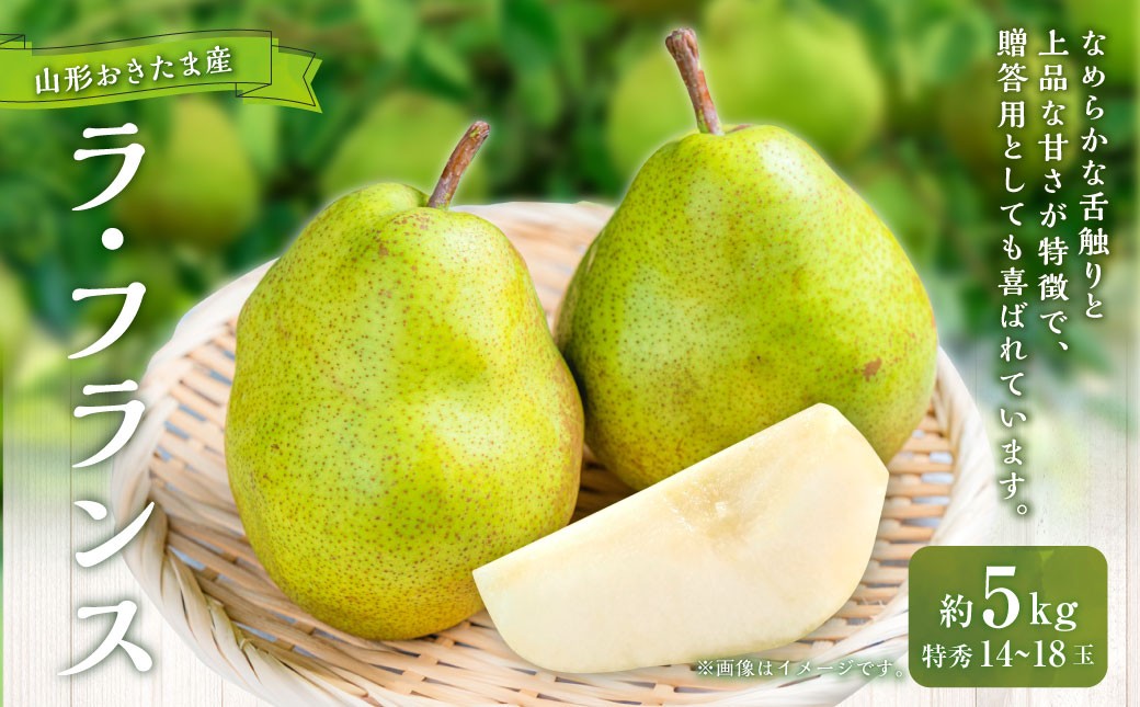 山形おきたま産ラ・フランス（特秀） 14玉～18玉 （約5kg）