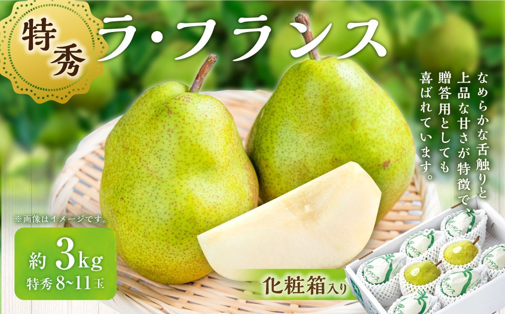 ラ・フランス （特秀） 3kg【化粧箱入り】 