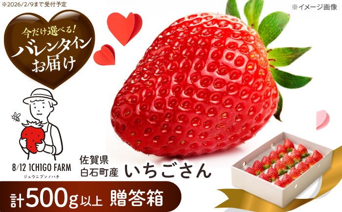 いちご 苺 イチゴ いちごさん フルーツ 果物 ギフト プレゼント Valentine バレンタイン ichigo 甘い いちご