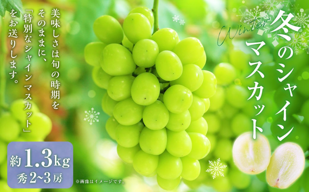 山形おきたま産冬のシャインマスカット （秀） 2～3房
