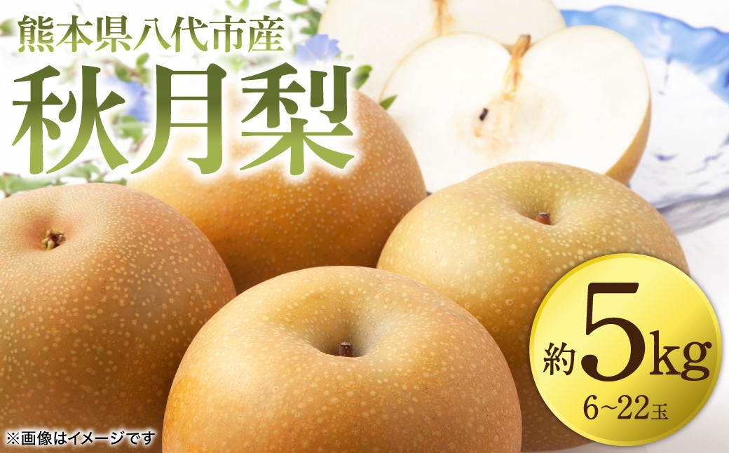 熊本県八代市産秋月梨