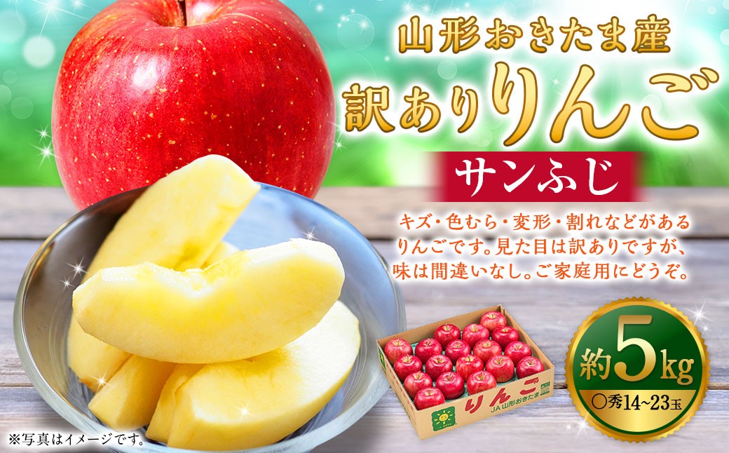 【訳あり品】 山形おきたま産 りんご （サンふじ）（〇秀） 14玉～23玉（約5kg）