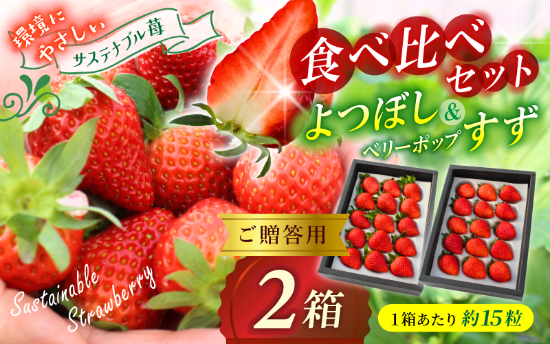 高級 ご贈答用 いちご よつぼし ベリーポップすず ２箱 食べ比べセット