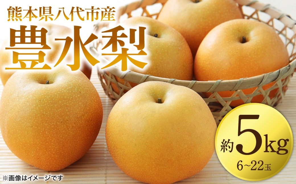 熊本県八代市産豊水梨