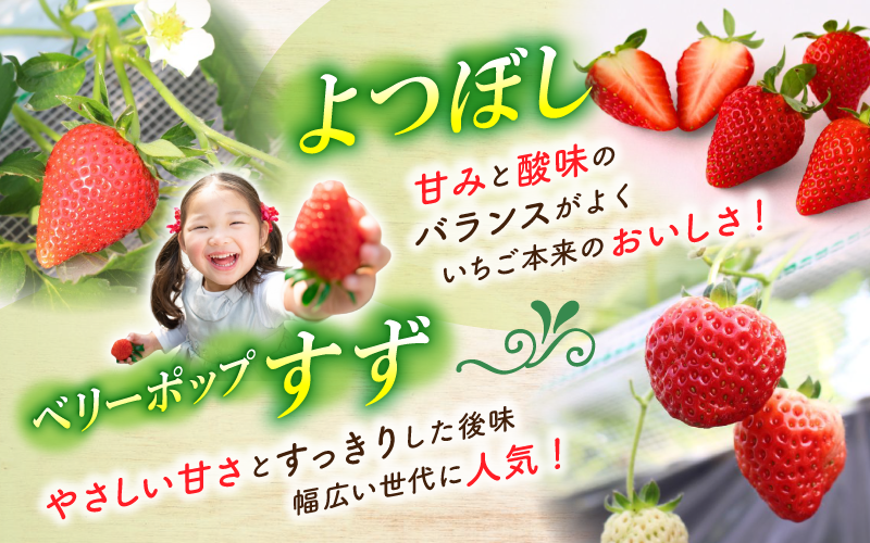 甘みと酸味のバランスがいい「よつぼし」 やさしい甘さとすっきり後味が人気の「すず」