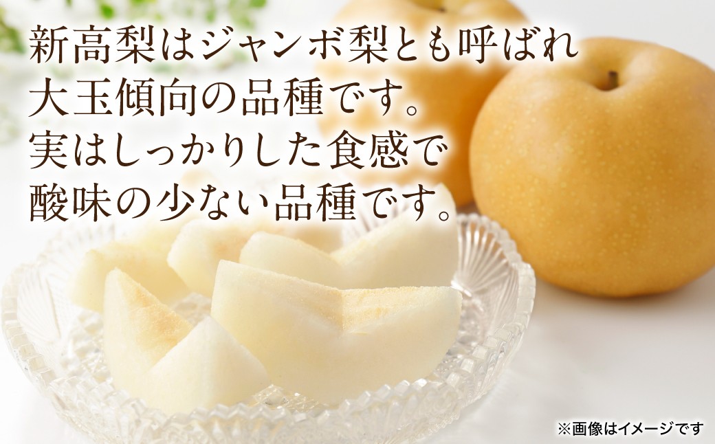 新高梨はジャンボ梨とも呼ばれ大玉傾向の品種です。実はしっかりした食感で酸味の少ない品種です。