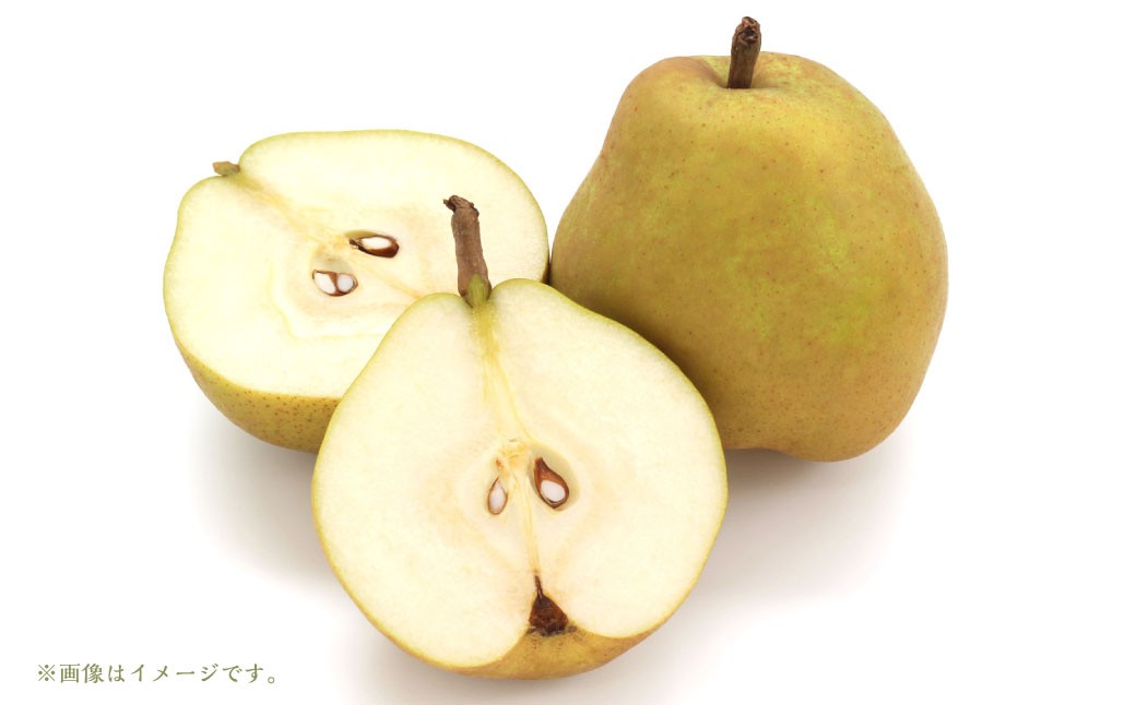 山形おきたま産ラ・フランス（特秀） 14玉～18玉 （約5kg）