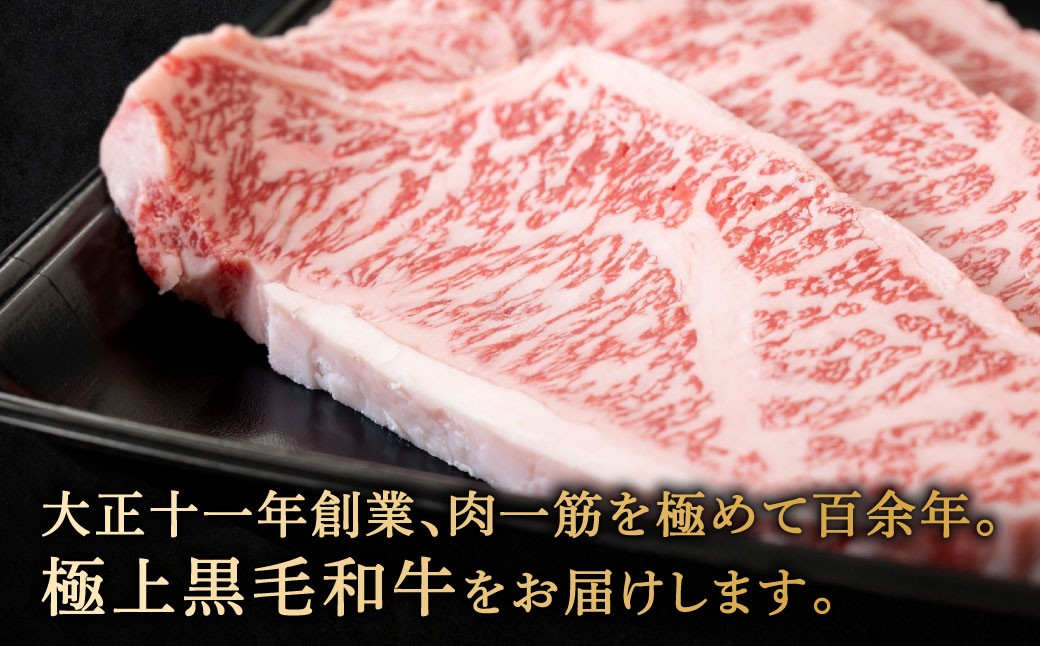 【やまぐち和牛燦】 牛サーロインステーキ 3枚入り 約500g