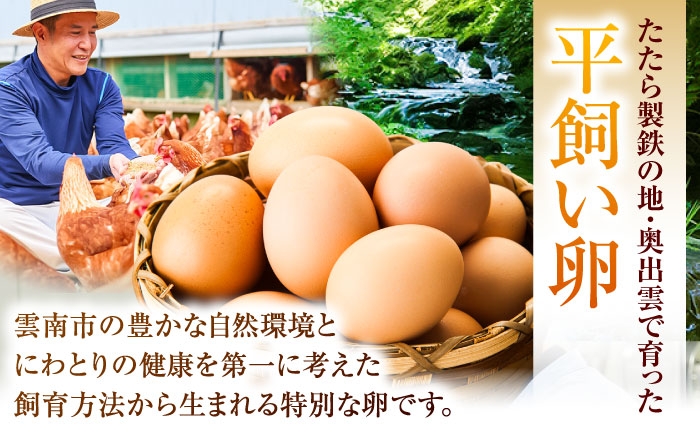 たまご 卵 放牧卵 平飼い卵 国産卵 タマゴ 玉子 鶏卵 卵黄 月2 卵ストック