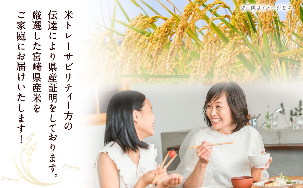 宮崎県産米 ふる里からの贈り物 5kg×1袋