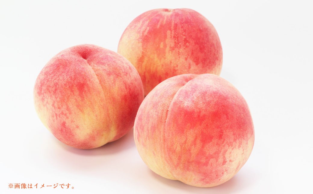 山形県おきたま産 もも （川中島白桃・まどか・桃水など） （特秀） 8玉～11玉（約3kg）