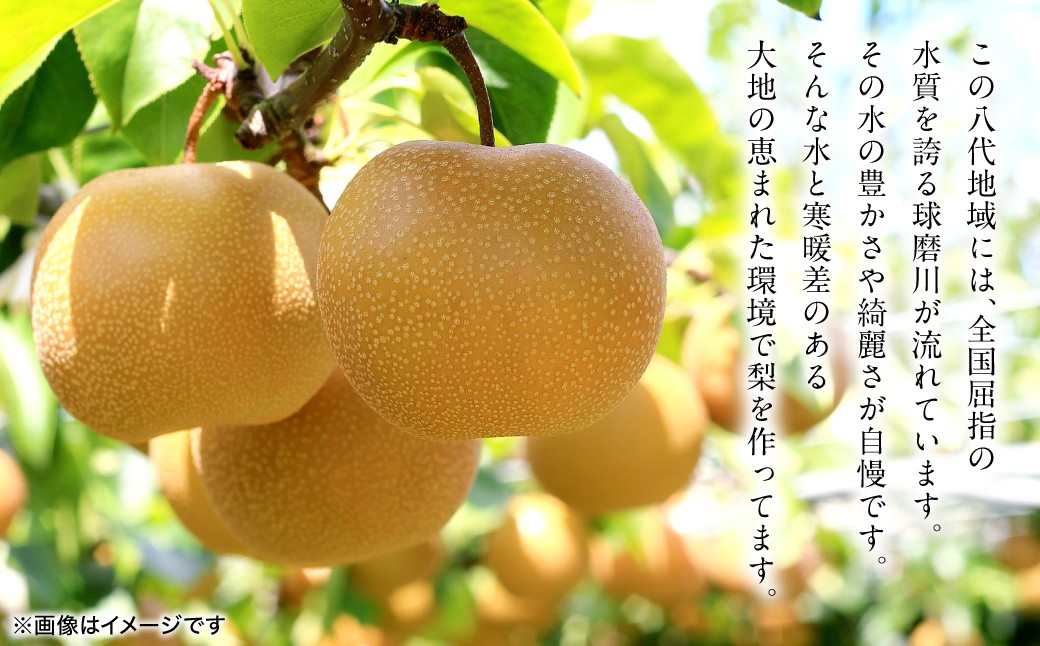 この八代地域には、全国屈指の水質を誇る球磨川が流れていいます。