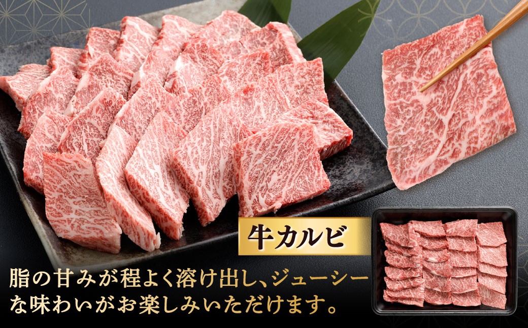 【やまぐち和牛燦】 牛カルビ焼肉 約500g