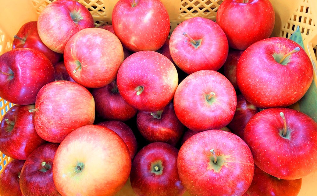 山形県おきたま産 りんご （高徳）（秀） 6玉～11玉（約1.8kg）