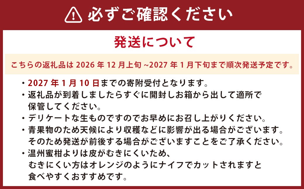熊本県産みはや 約5キロ 果物 柑橘類