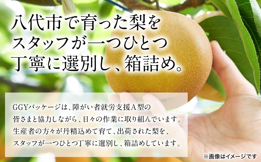 八代市で育った梨をスタッフが一つひとつ丁寧に選別し、箱詰め。