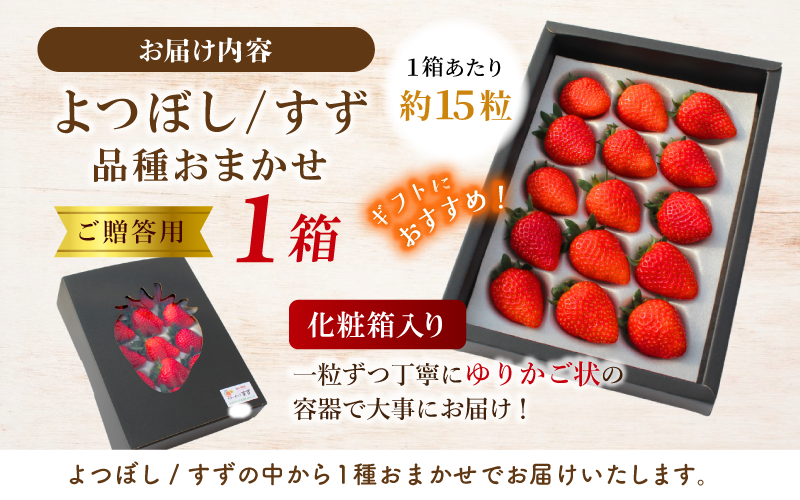 化粧箱入り。一粒ずつ丁寧にゆりかご状の容器で大切にお届けします。ギフトにおすすめ！