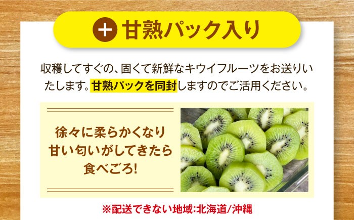 キウイ 訳あり キウイフルーツ グリーンキウイ  キュウイ キウイフルーツ ヘイワード 果物  ギフト フルーツ