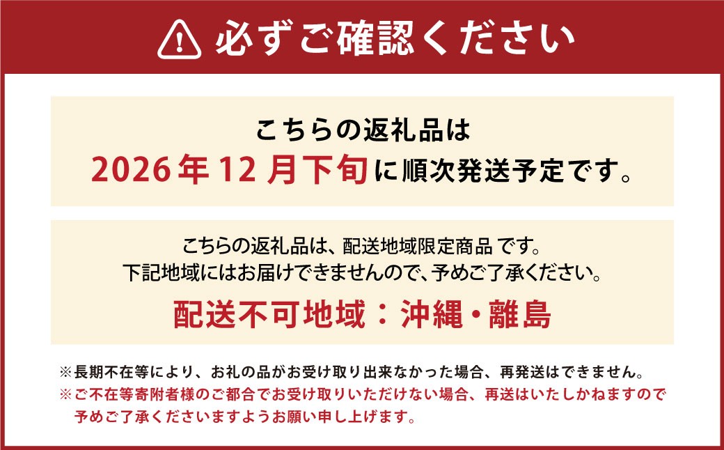 山形おきたま産冬のシャインマスカット （秀） 2～3房