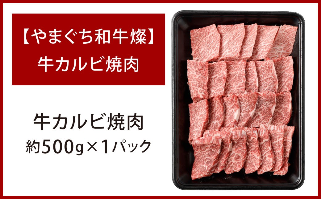 【やまぐち和牛燦】 牛カルビ焼肉 約500g