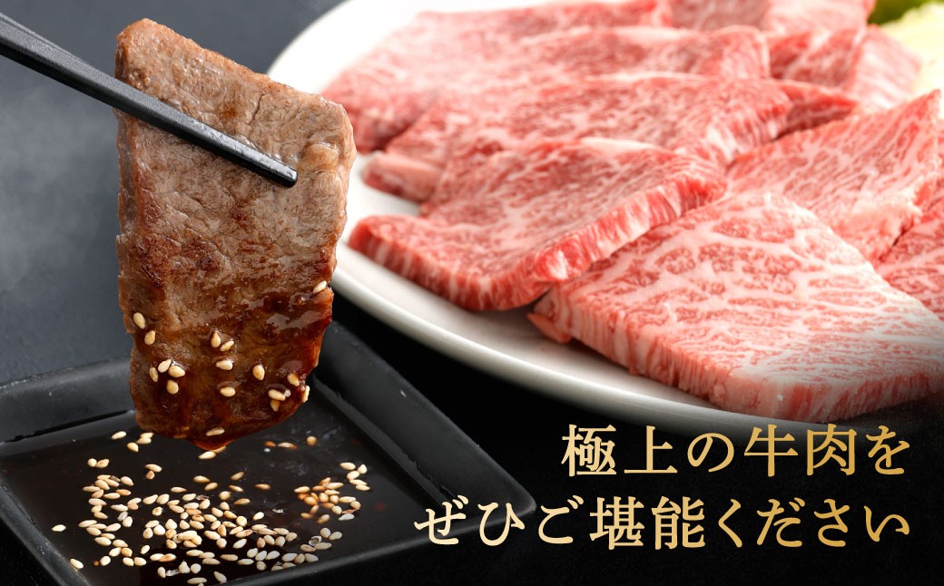 【やまぐち和牛燦】 焼肉セット 牛ロース焼肉・牛カルビ焼肉 各約500g 