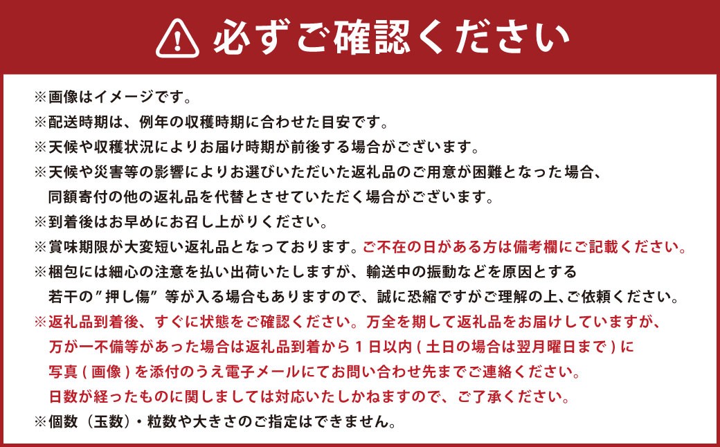 山形県おきたま産 りんご （高徳）（秀） 6玉～11玉（約1.8kg）