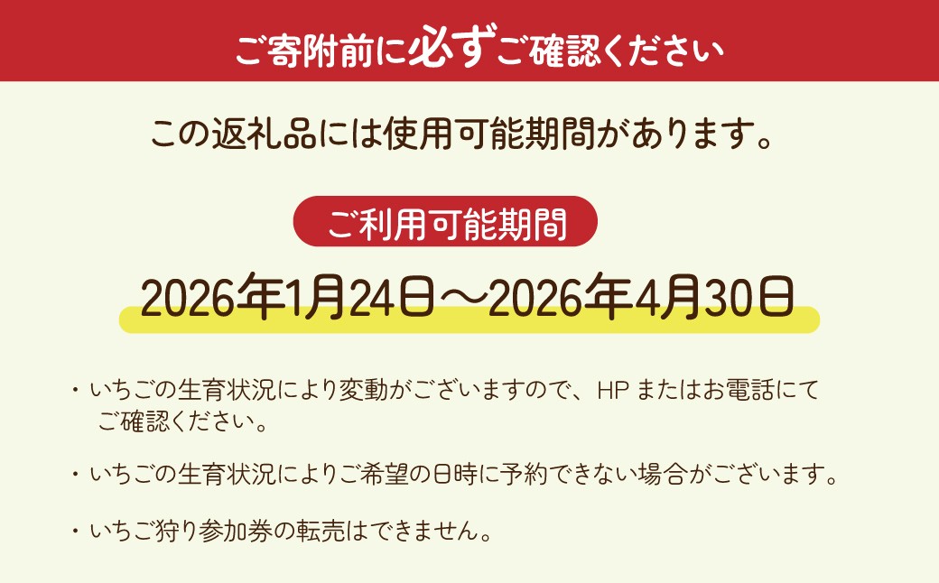 いちご イチゴ 苺  ストロベリー とちおとめ いちご イチゴ 苺  ストロベリー とちおとめ