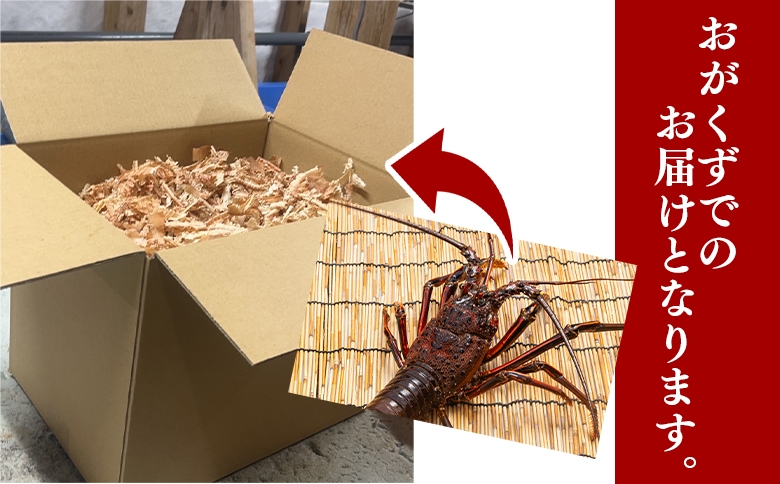伊勢海老の梱包イメージです。