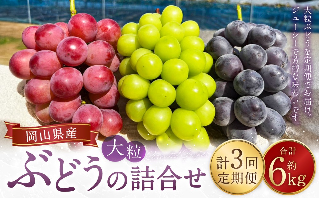 大粒ぶどうの詰合せ 約2kg×3回 計約6kg