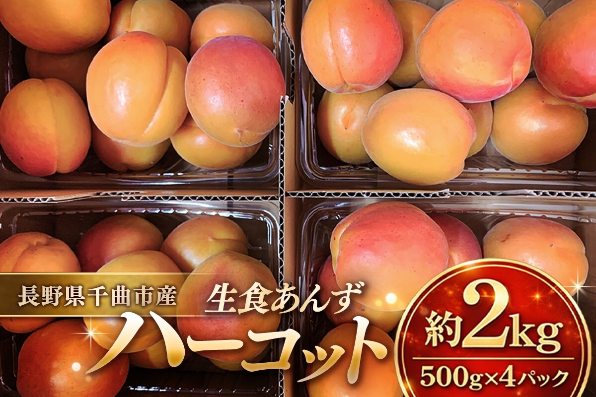 あんず ハーコット 生食用 約2kg