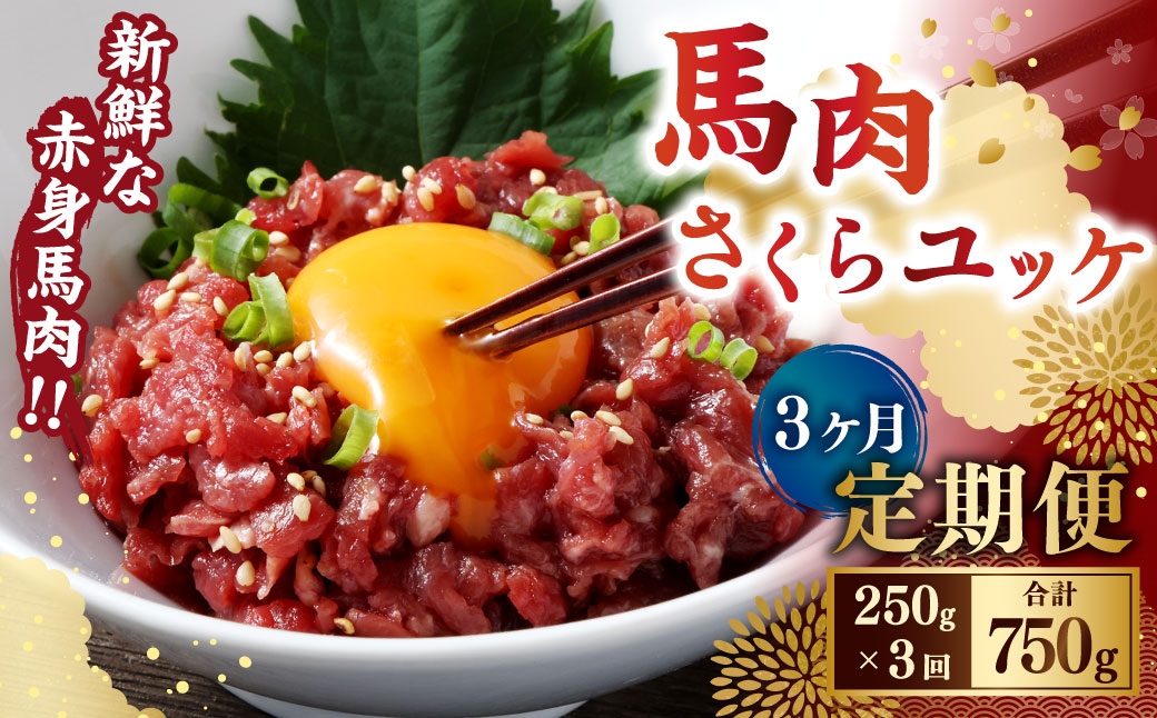 【3ヶ月定期便】馬肉さくらユッケ250g（50g×5パック）