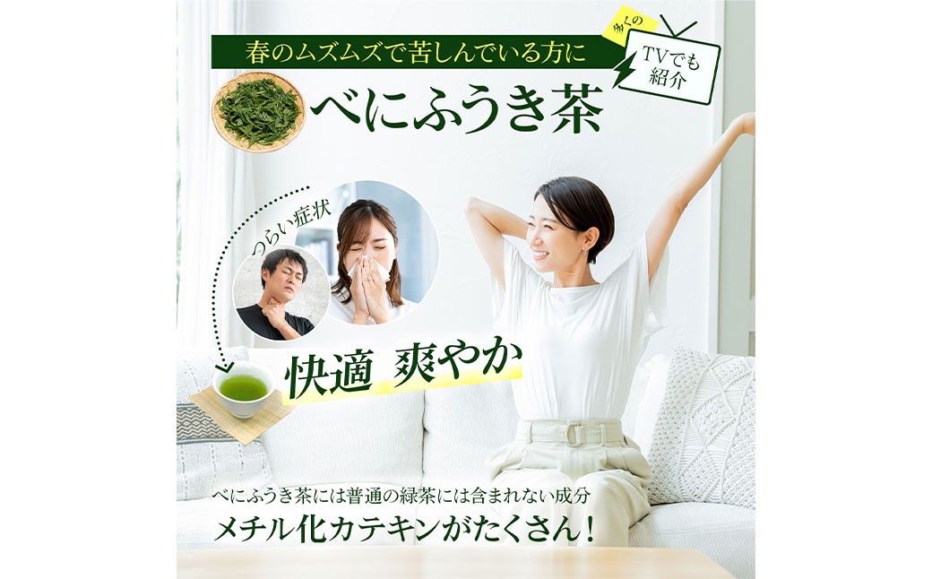 べにふうき茶 ティーバッグ 3g×15包 計45g｜ お茶 茶 緑茶 べにふうき 静岡 静岡茶