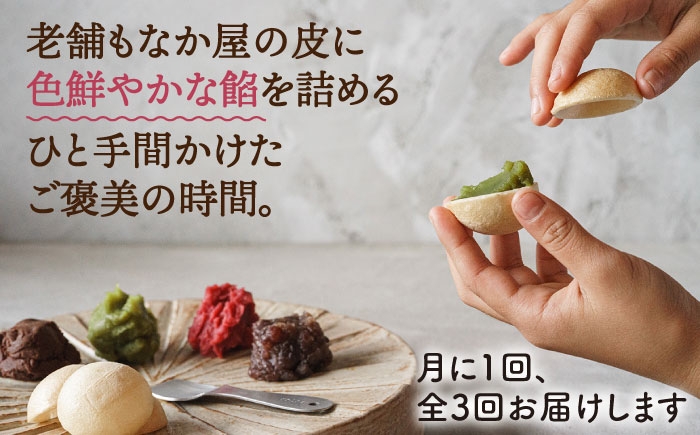 もなか 最中 皮 和菓子 詰め合わせ ギフト スイーツ