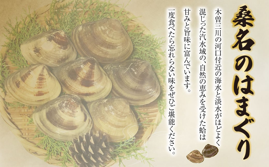 マルヨシ水産　桑名産中粒天然蛤　1kg_はまぐり