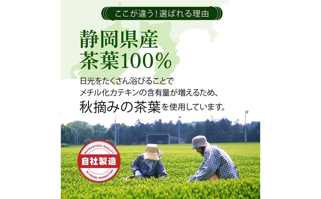 静岡 かやまえん お茶 粉末 「べにふうき茶 粉末茶 1g×260包」