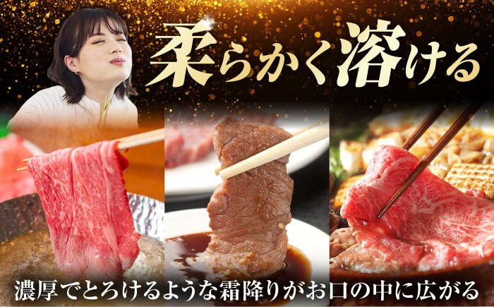 定期便 飛騨牛 モモ・肩肉 リブロースステーキ しゃぶしゃぶ 焼肉 すき焼き 牛肉 飛騨牛 和牛 白川町