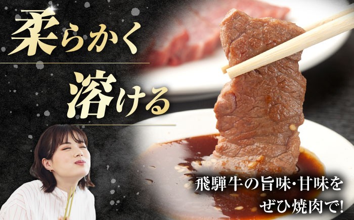 牛肉 飛騨牛焼肉 焼肉 焼き肉 和牛 ブランド牛 赤身 セット モモ もも モモ肉 肩 肩肉 かた肉 カタ肉 ロース やきにく