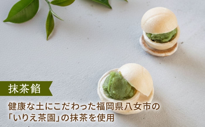 もなか 最中 皮 和菓子 詰め合わせ ギフト スイーツ